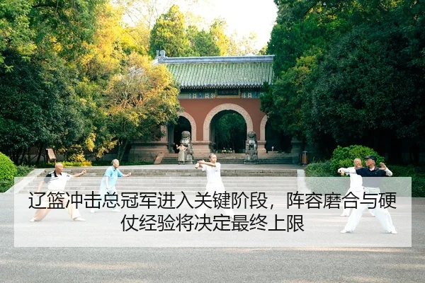 辽篮冲击总冠军进入关键阶段，阵容磨合与硬仗经验将决定最终上限